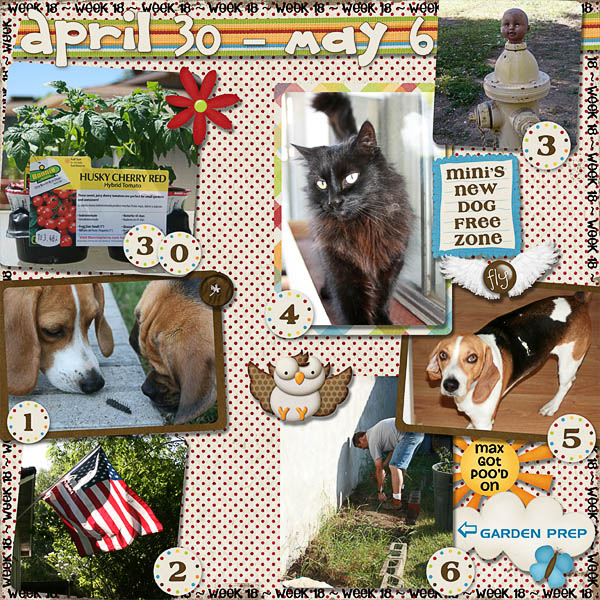 Lisa's Week Eighteen