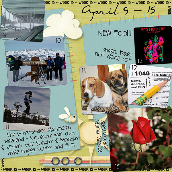 Lisa's Week Fifteen