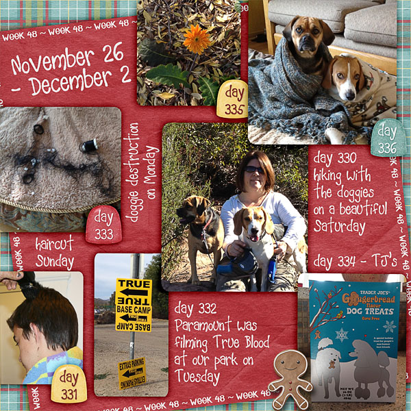 Lisa's Week Forty-Eight