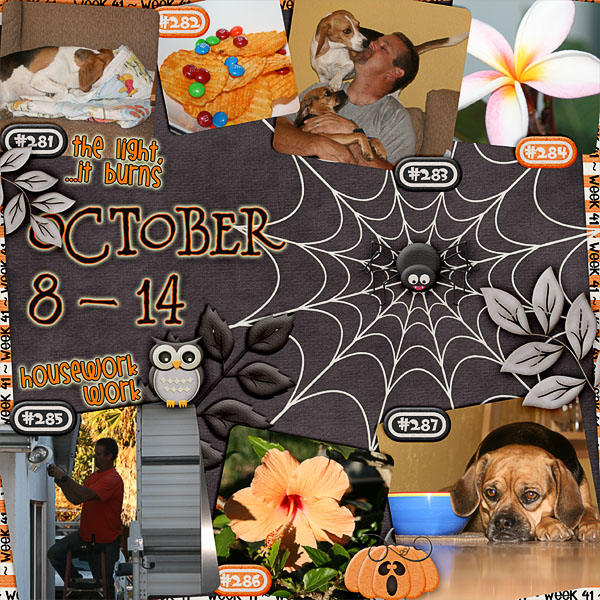 Lisa's Week Forty-One