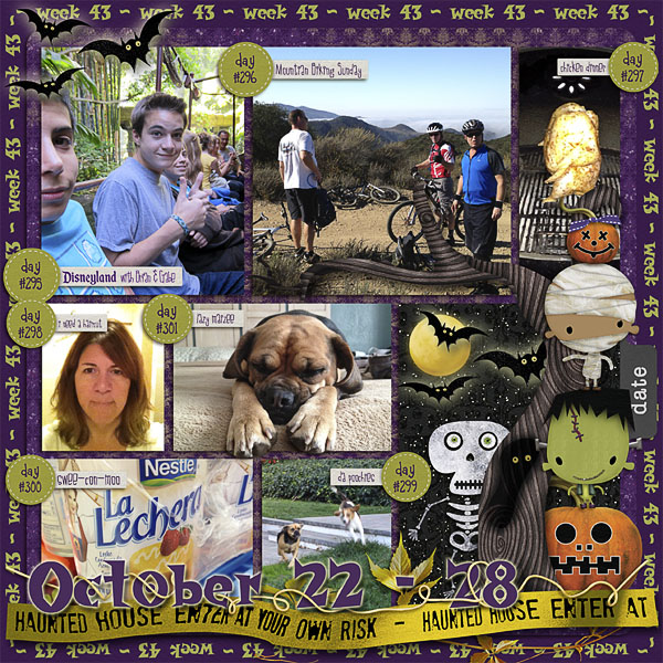 Lisa's Week Forty-Three