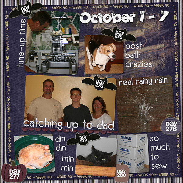 Lisa's Week Forty