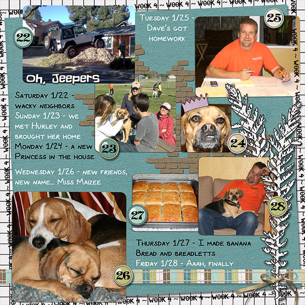 Lisa's Week Four