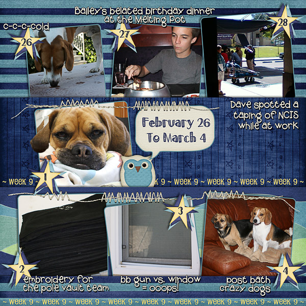 Lisa's Week Nine