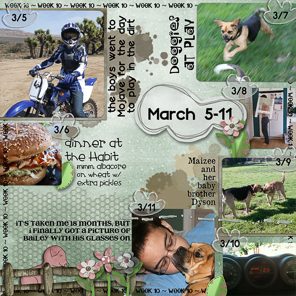 Lisa's Week Ten