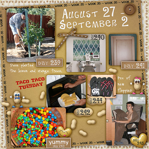Lisa's Week Thirty Five