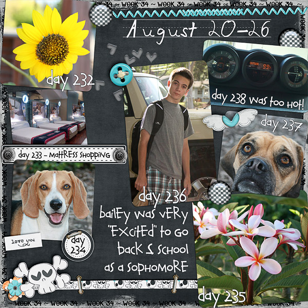 Lisa's Week Thirty Four