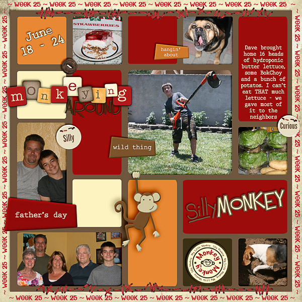 Lisa's Week Twenty Five