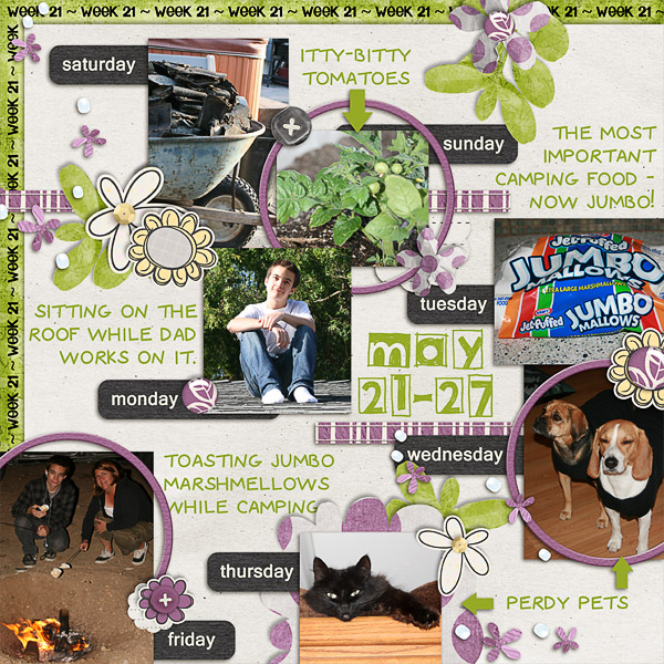 Lisa's Week Twenty One