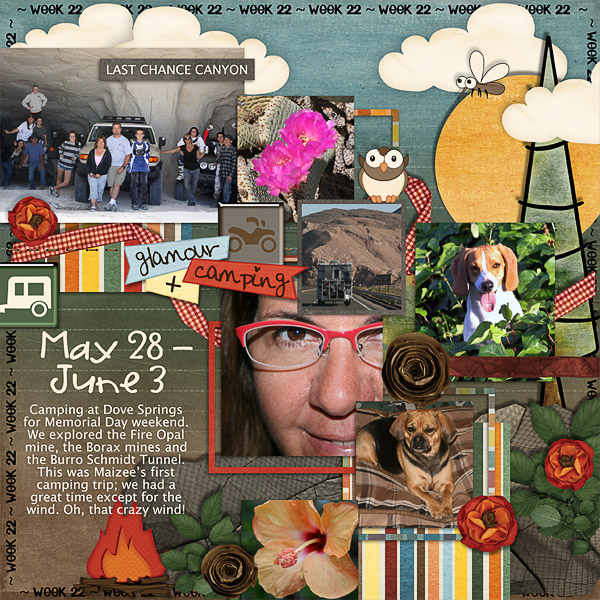 Lisa's Week Twenty Two