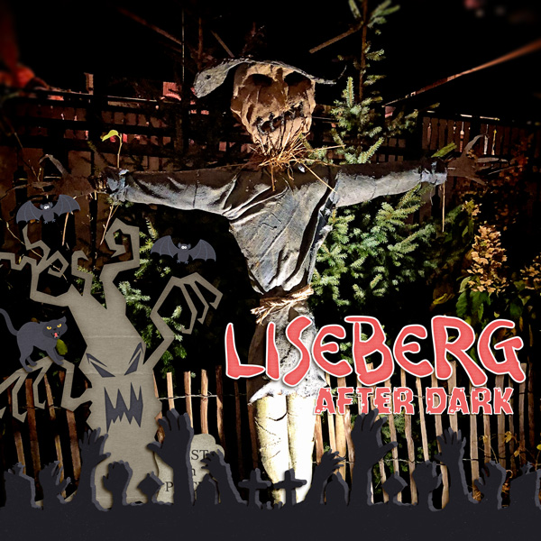 Liseberg after dark