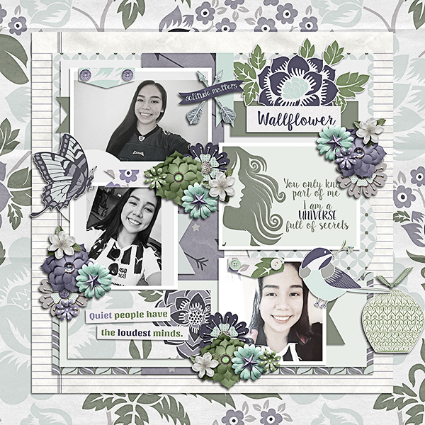 LISI_WALLFLOWER600