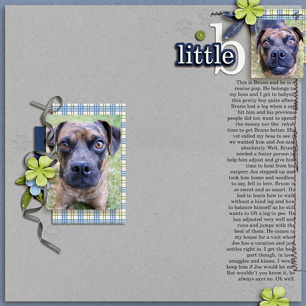 little b