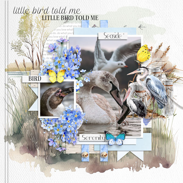 Little Bird Tol Me