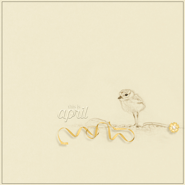 little bird