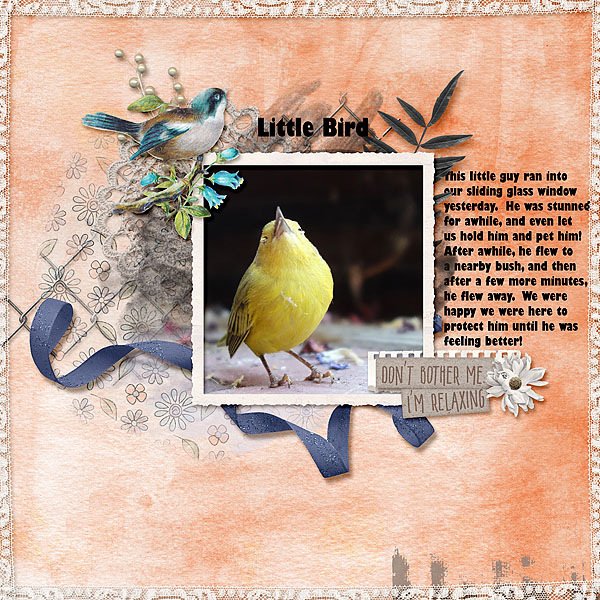 Little Bird