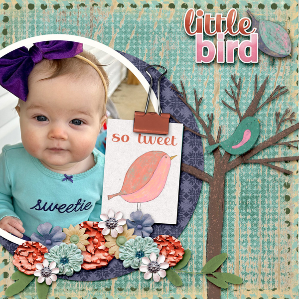 Little Bird
