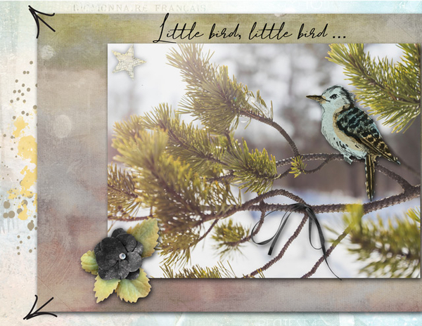 Little bird