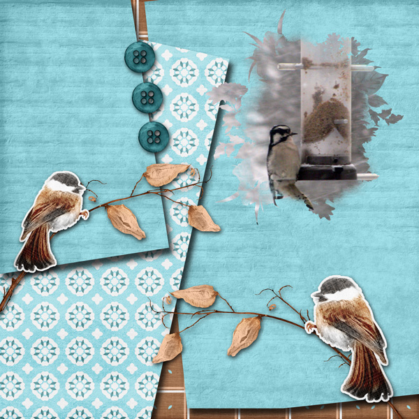 Little Birdie Told Me
