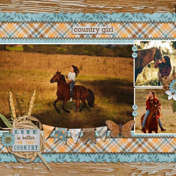 Little Bit Country by Triple J Designs