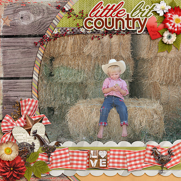 Little Bit Country