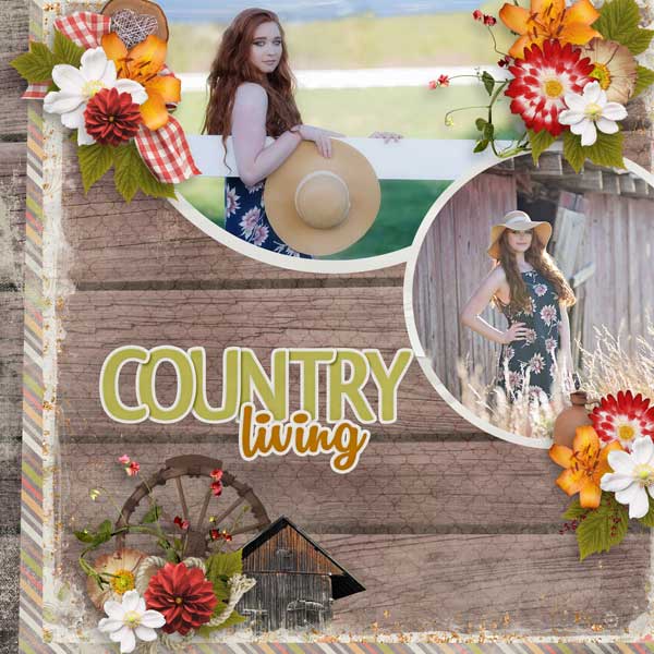 Little Bit Country