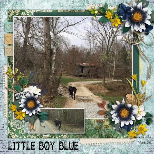 Little Boy Blue