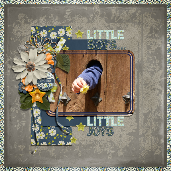 Little Boys... Little Joys