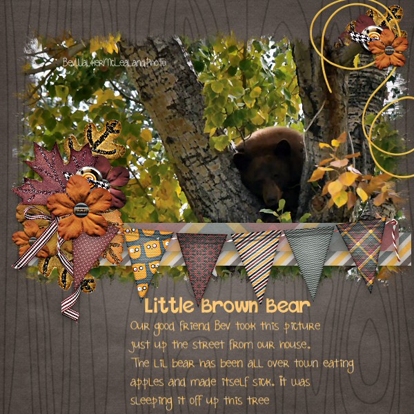 Little Brown Bear