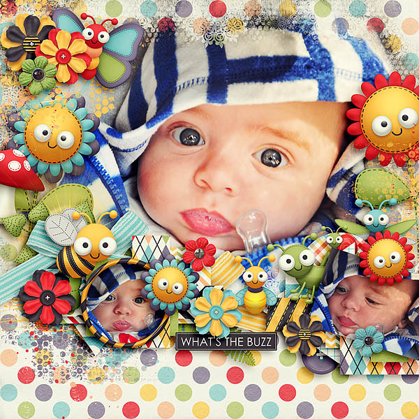 Little Bug
