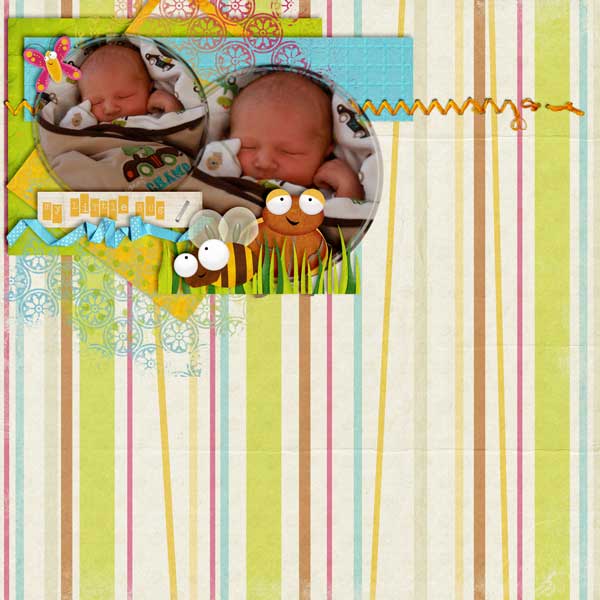 Little Bug