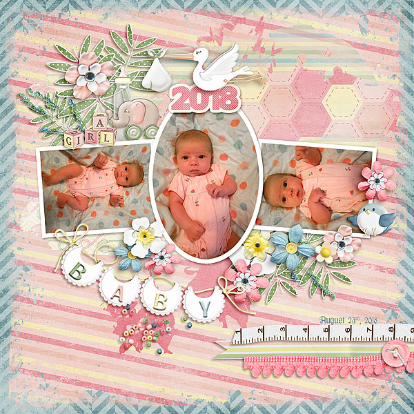 Little Bundle of Joy