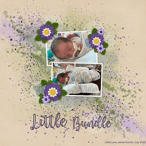 Little Bundle
