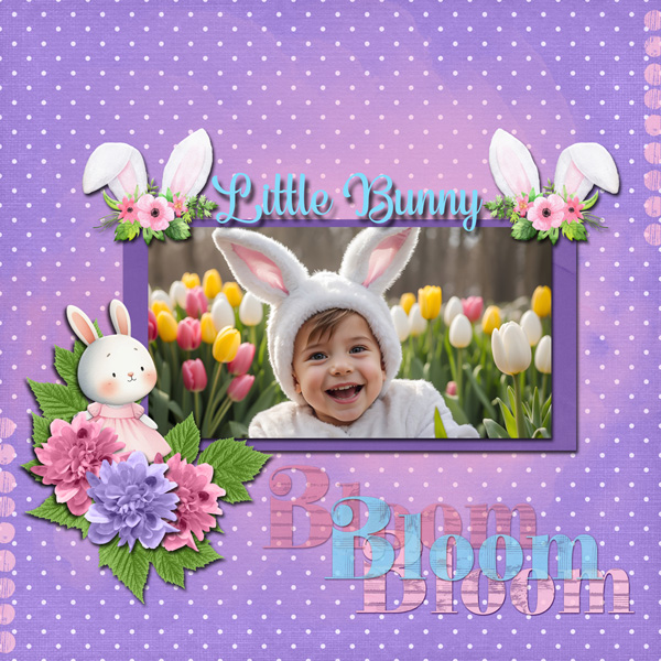 Little Bunny Cutie