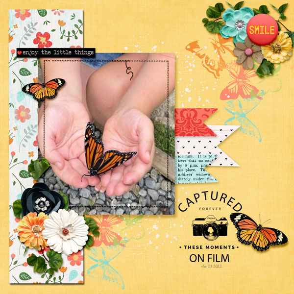 Little Butterfly