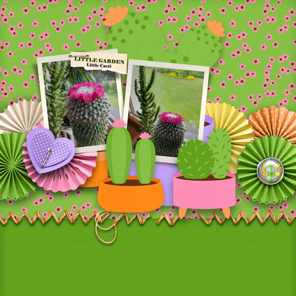 Little Cacti