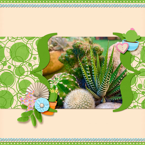 Little Cacti