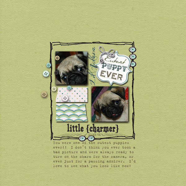little charmer