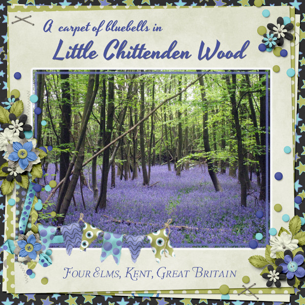 Little Chittenden Wood