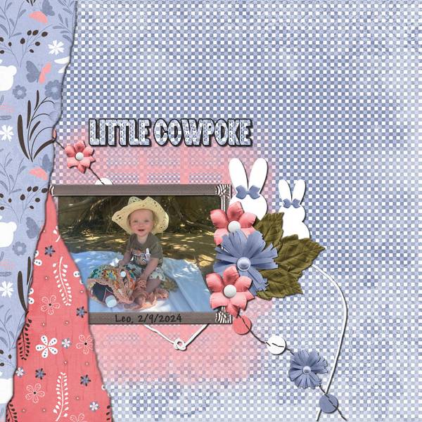 Little Cowpoke