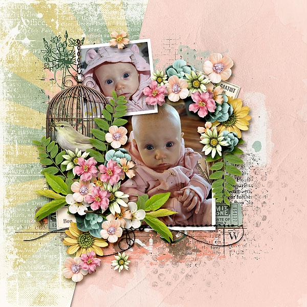 Little Cutie