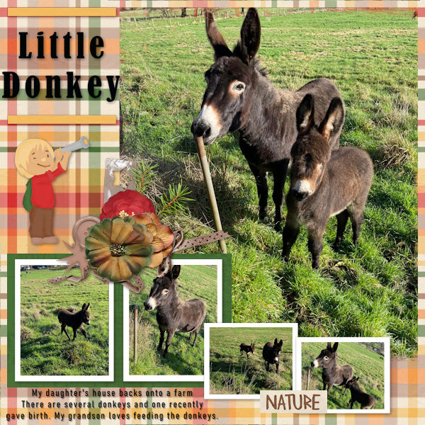 Little Donkey