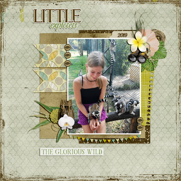 little explorers