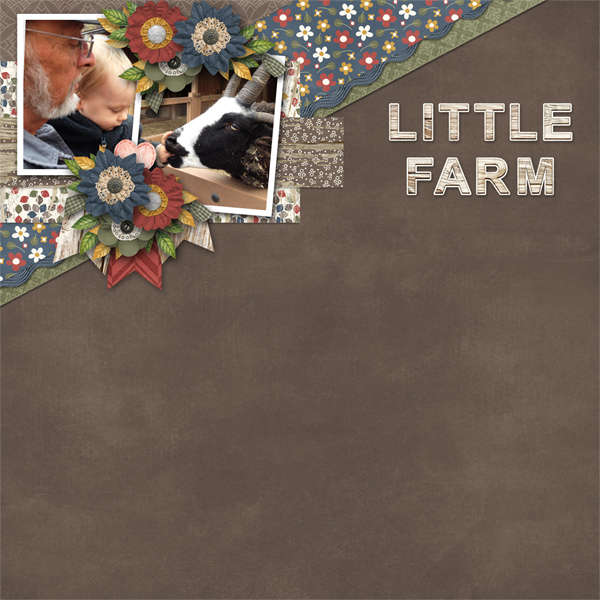 Little Farm