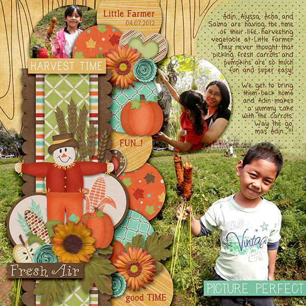 Little Farmer