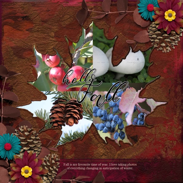 Little Feet Digital Designs - Summer Fades