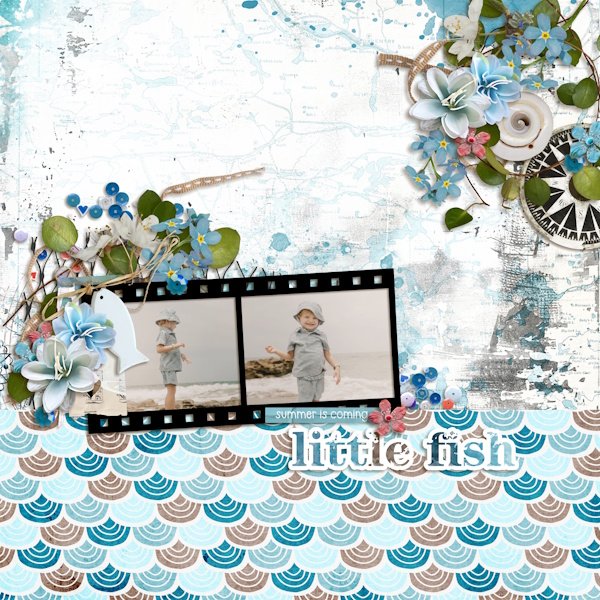 Little fish