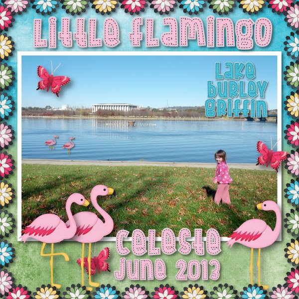 little flamingo