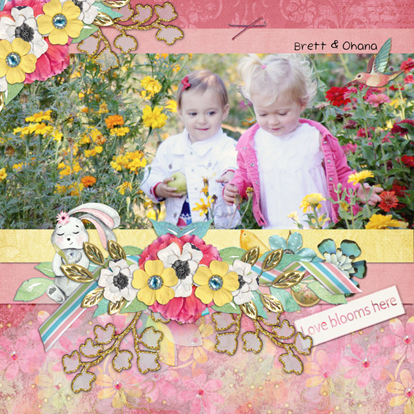 Little Flowers