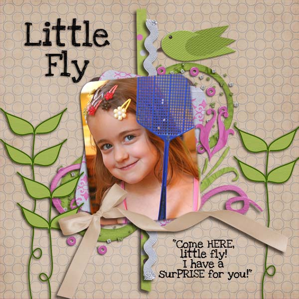 Little Fly